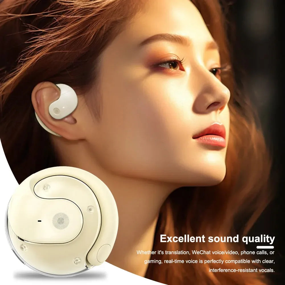 75 Language Translation Earphones Real-time Wireless BT Translation Earbuds Device for Travel Business Learning Mini Portable